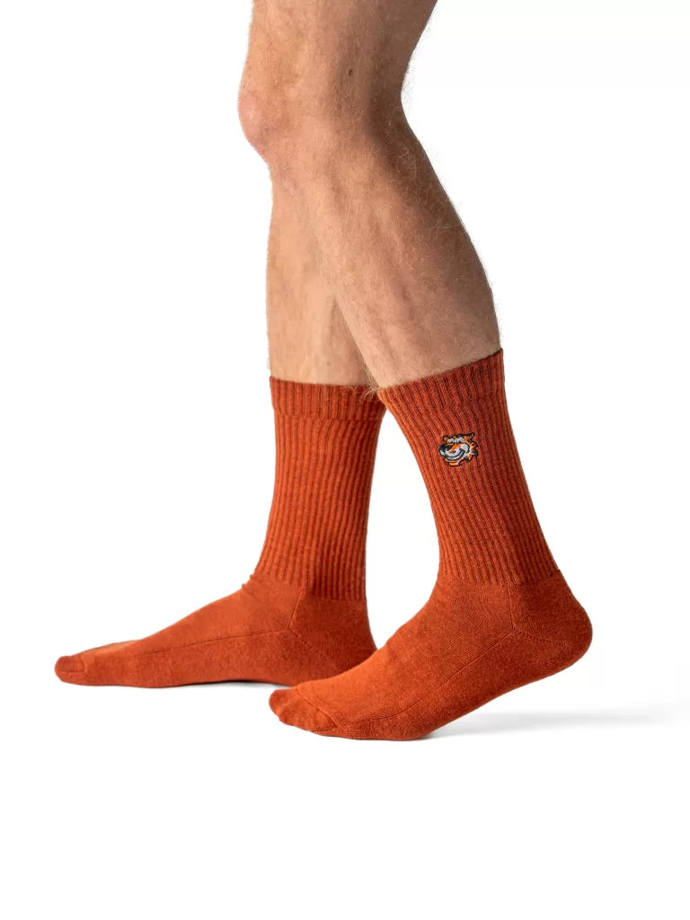 Archive Set für Herren von Good Willy: Crew-Socken in Braun, am Herrenbein getragen, Ansicht 1 (KI-generiert)