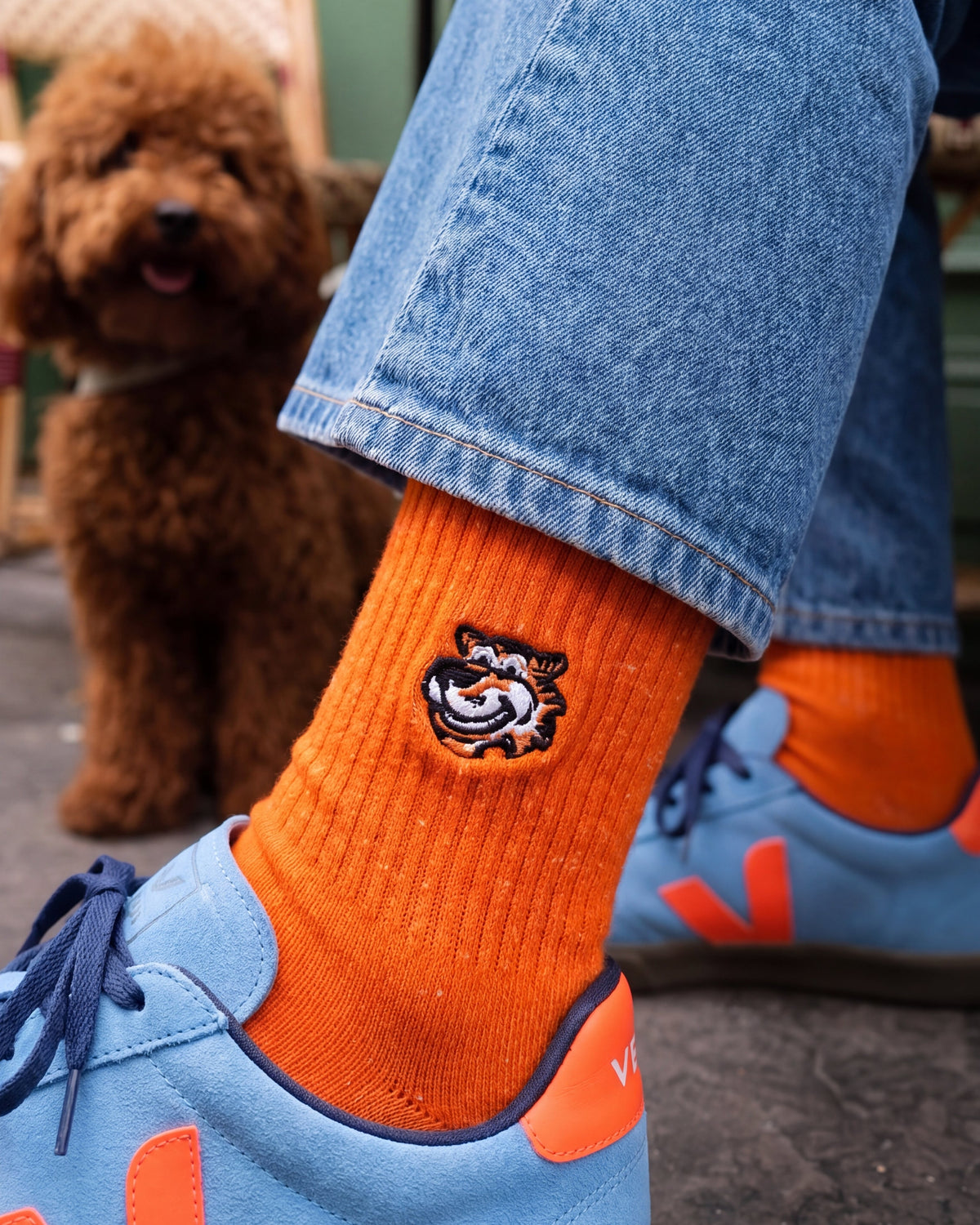 Happy Hour Crew-Socken in Orange mit Tiger-Logo von Good Willy, daneben ein Pudel (KI-generiert)